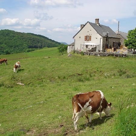 Chez Marraine Villa Sauvat Kültér fotó