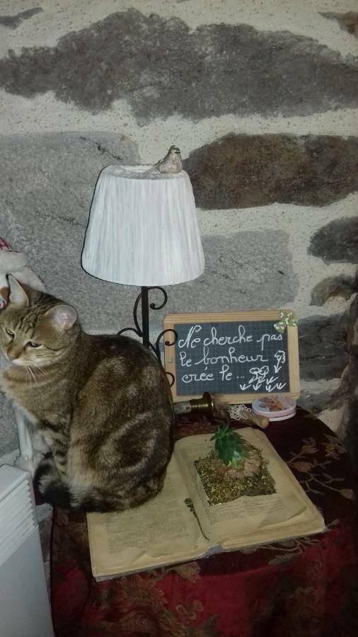 Chez Marraine Villa Sauvat Kültér fotó